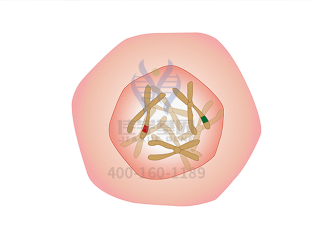 【佳学基因-基因